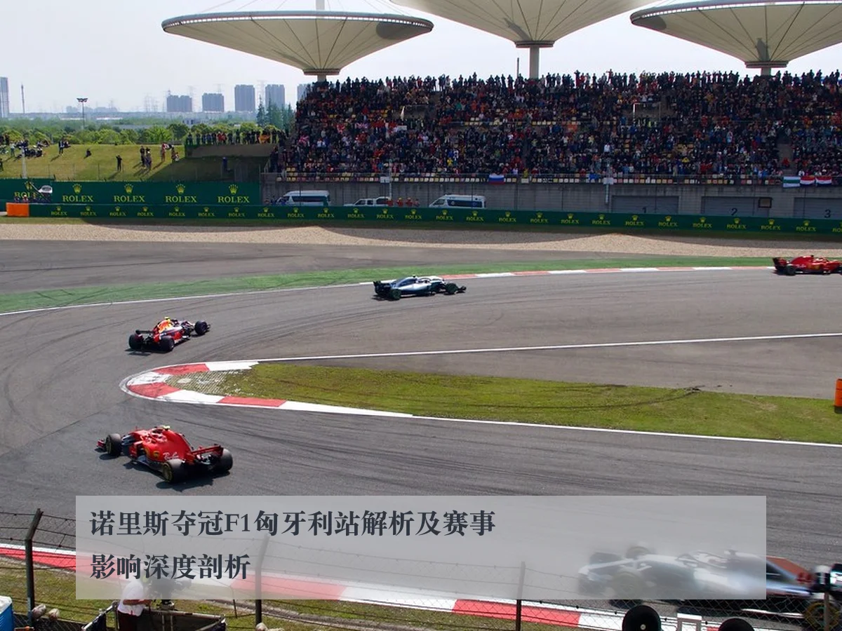 诺里斯夺冠F1匈牙利站解析及赛事影响深度剖析